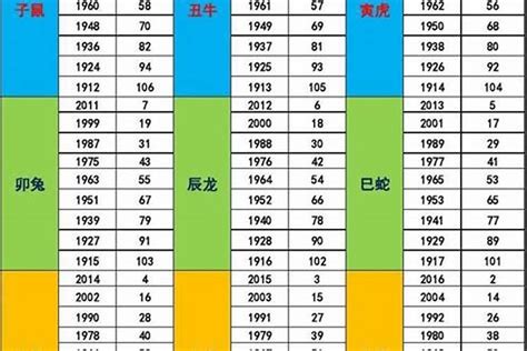 1982年五行